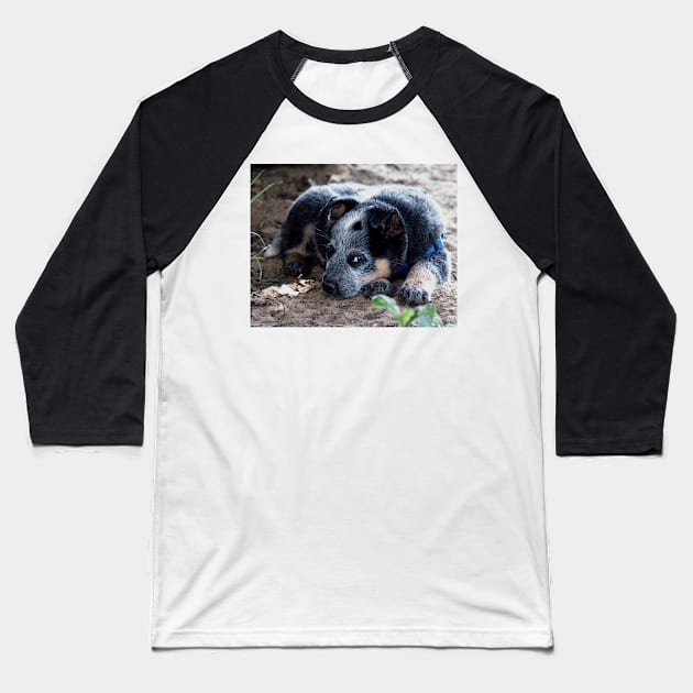 52017 pup1 Baseball T-Shirt by pcfyi